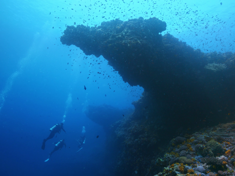 綠島水下視野大突破！東部海岸「湛藍海洋」帶你進入智慧觀光新紀元